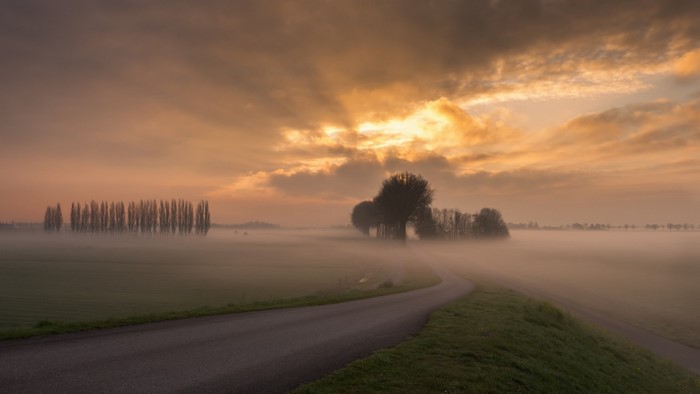 Foggy road through fields at sunrise