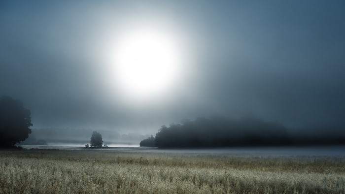 Foggy Field with Bright Sun