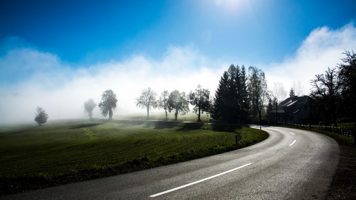 Winding road through a foggy landscape with trees and a house