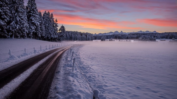 Snowy road through a winter forest at sunset