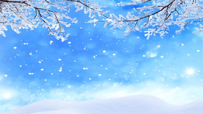 Winter scene with snow-covered branches and falling snow