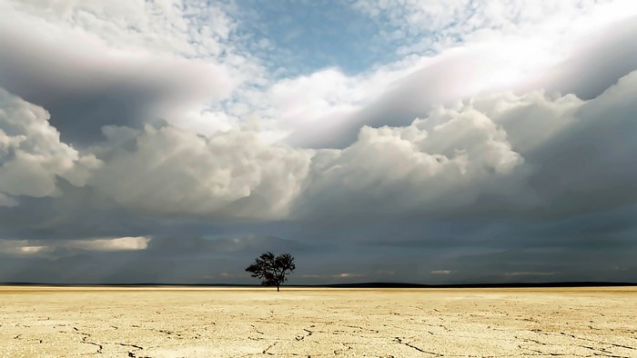 Lone tree in a dry, cracked landscape under dramatic clouds