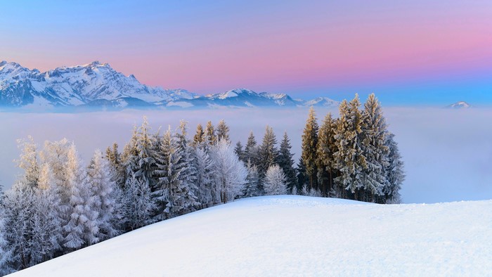 4K Winter Mountain Landscape with Fog and Snow-Covered Trees