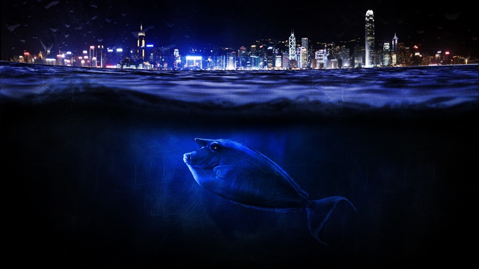 Fish underwater with Hong Kong cityscape at night