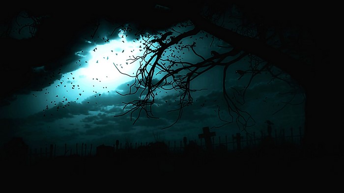 Cemetery at night with birds flying