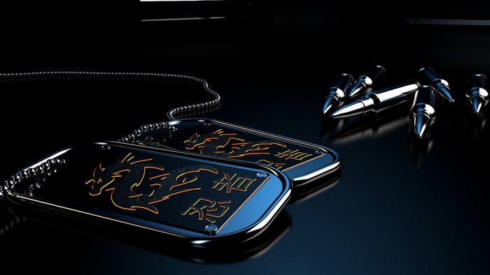 Dragon Dog Tags and Bullets