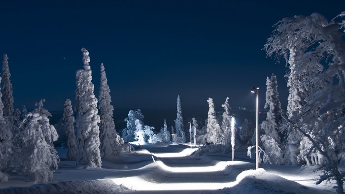4K Winter Night Path with Snow-Covered Trees
