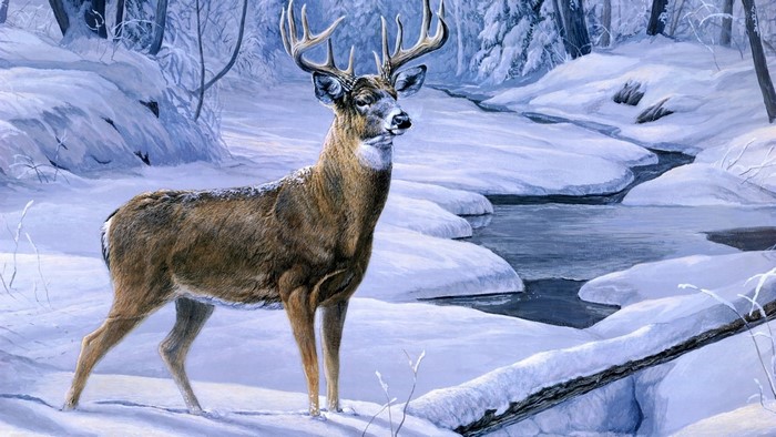 Deer in a Snowy Forest