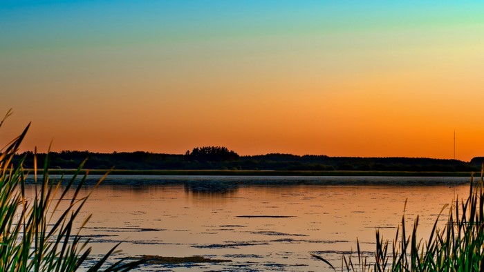 Sunset over a lake with reeds