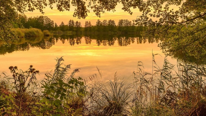 Lake reflection at sunset with trees and foliage