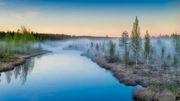 Misty river in a forest at sunrise