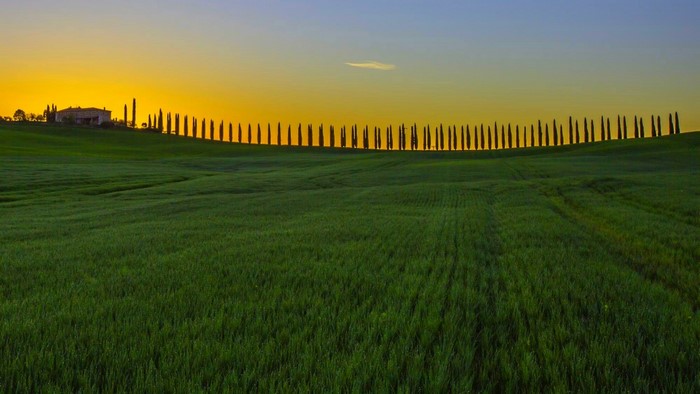 Tuscan landscape with cypress trees and a villa at sunset