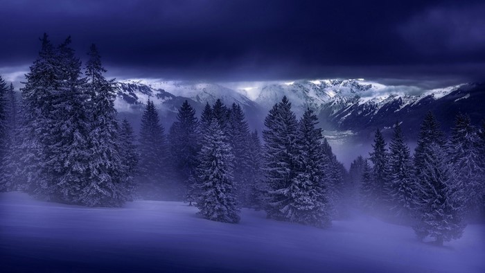 Snowy forest with mountains