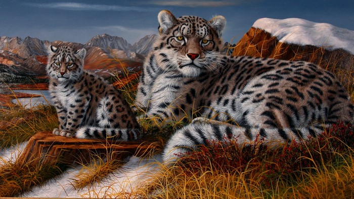 Snow Leopards in Mountain Landscape