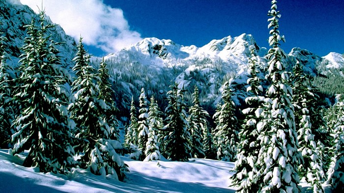Snowy Mountains and Pine Trees