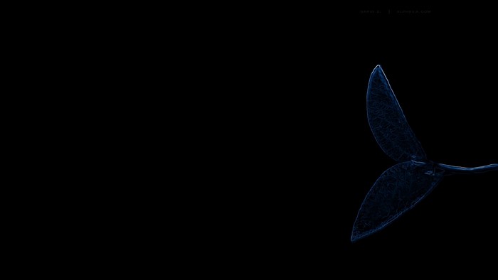 Blue neon abstract whale tail
