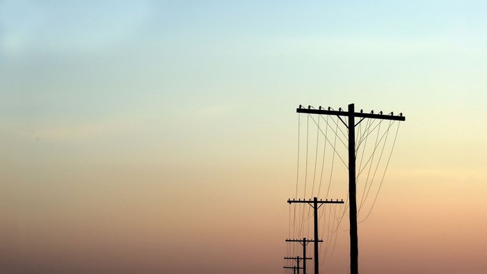 Telephone poles with wires against a gradient sky