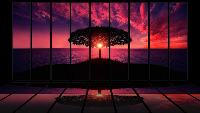 Silhouette of a tree against a vibrant sunset over the ocean