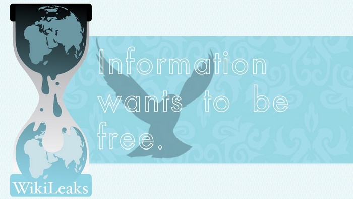Wikileaks Information Wants To Be Free Hourglass