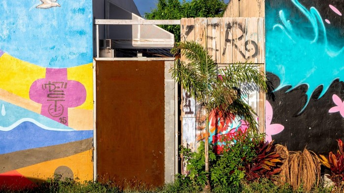 Miami Street Art with Palm Tree