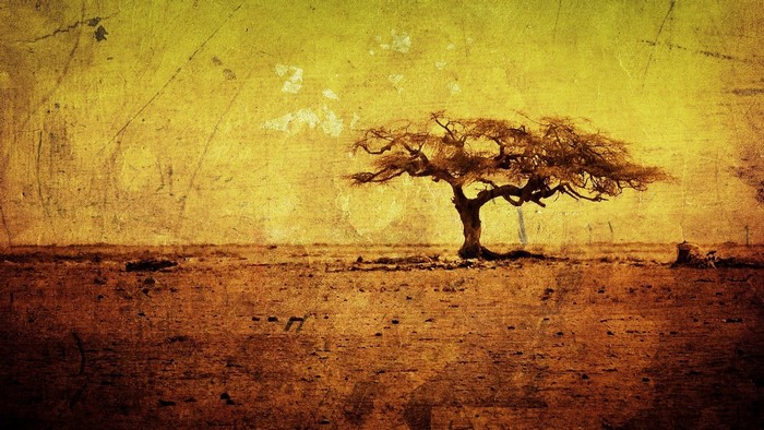 Old Tree Painting