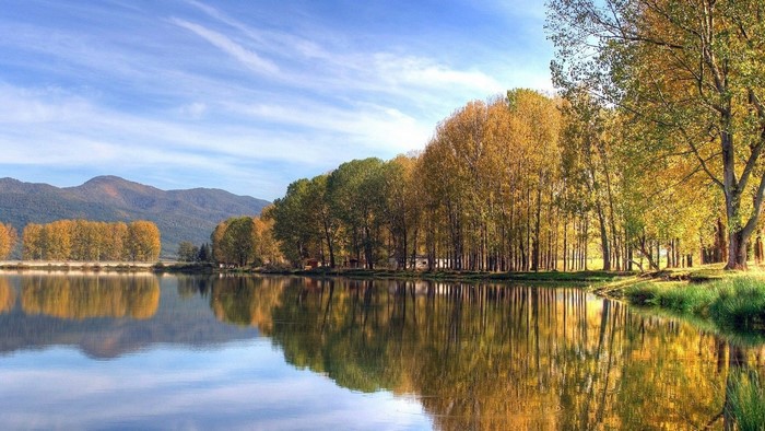 Autumn trees reflected in a calm lake with mountains