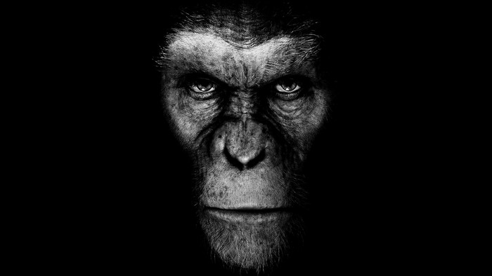 Caesar from Planet of the Apes