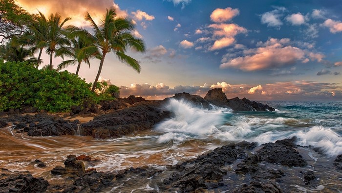 Tropical Paradise Beach with Palm Trees and Waves