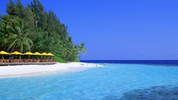 Tropical beach with turquoise water and palm trees