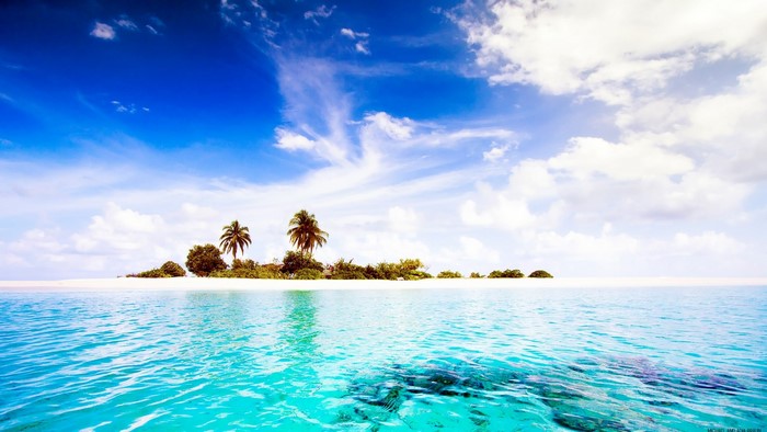 Island in the Sea Ocean