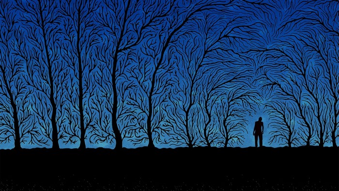 Silhouette of a person in a spooky forest at night