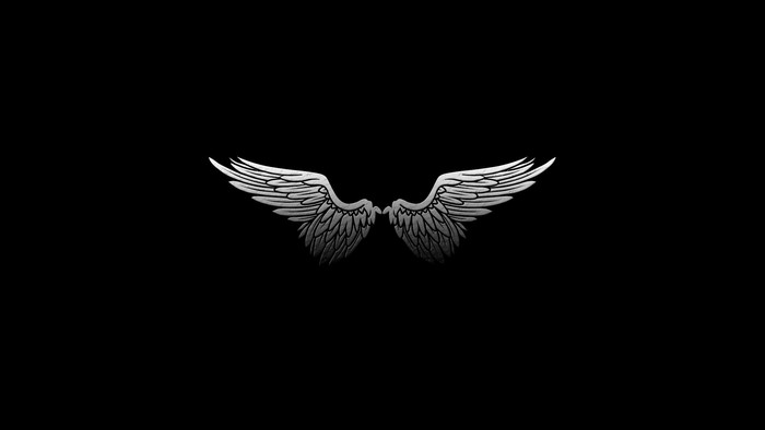 Silver Wings on Black Background
