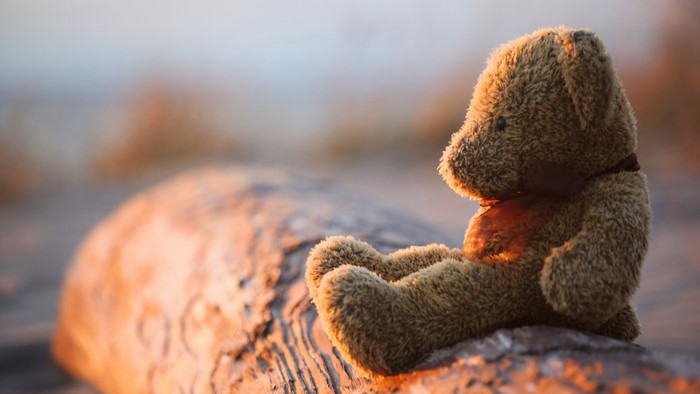 Lonely Teddy Bear on a Log