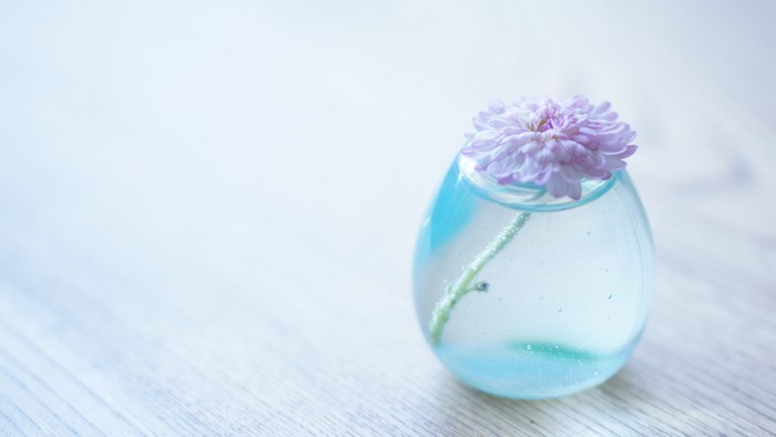 Light blue glass vase with a purple flower