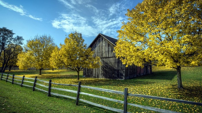 Barn with yellow trees and fence