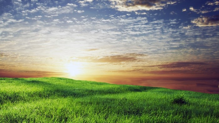 Green field under a cloudy sky at sunset