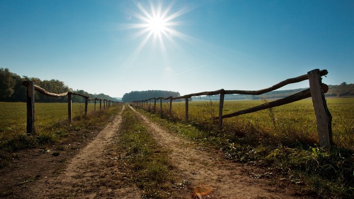 Sunrise over a dirt road in Hungarian farmland