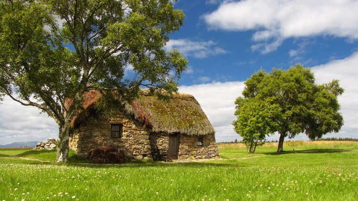 Stone cottage with thatched roof and trees