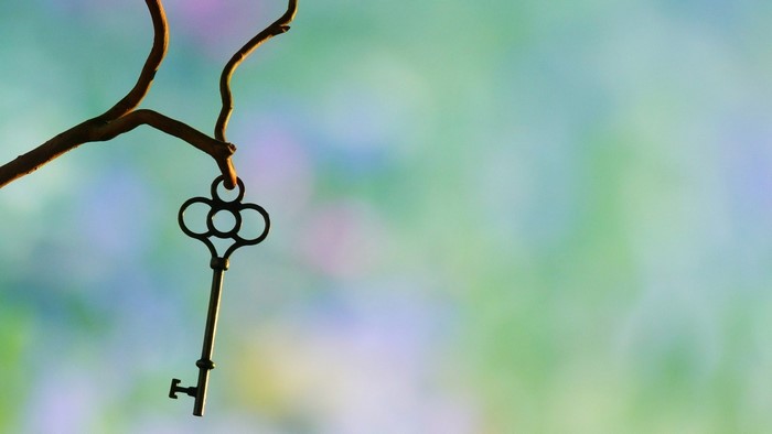 Key hanging from a branch