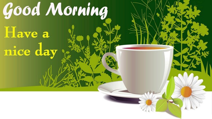 Good Morning Have a Nice Day
