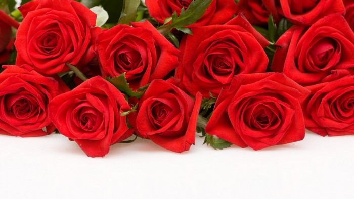 A bouquet of red roses