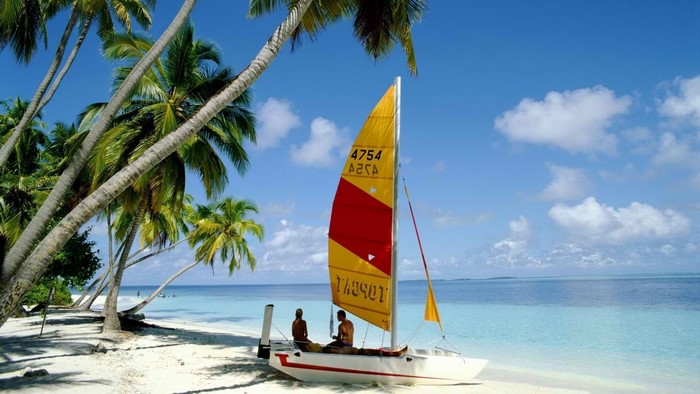 Sailboat on a tropical beach with palm trees