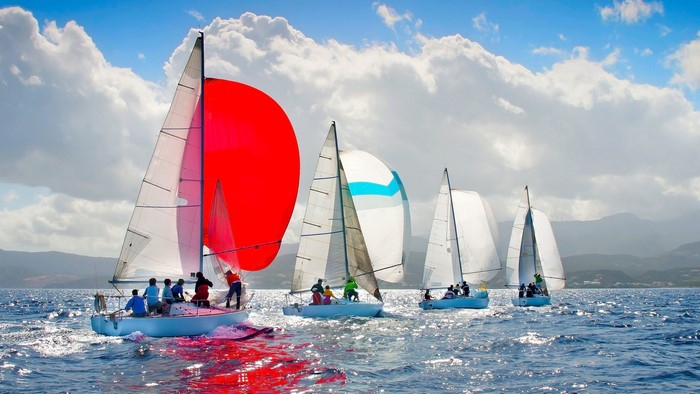Sailboats racing on a sunny day