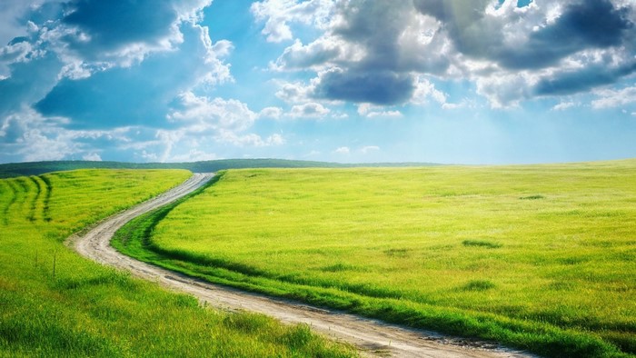 A winding dirt road through a sunny green field