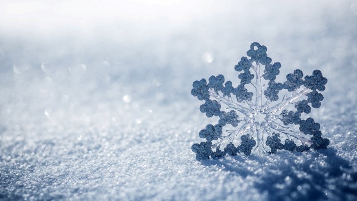 Close-up of a snowflake on snow