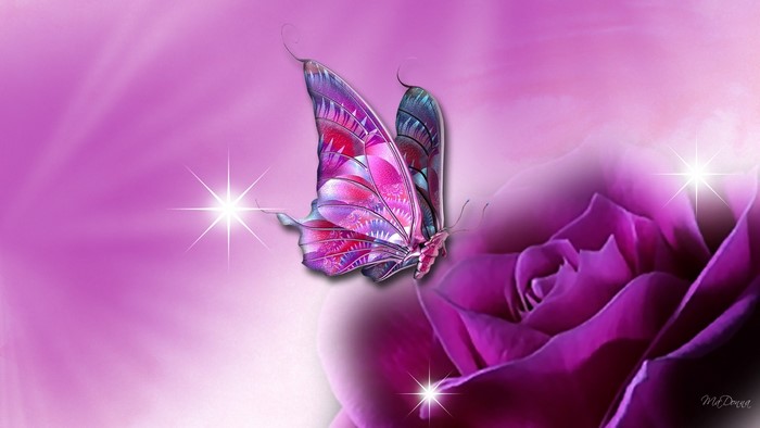 Animated Purple Butterfly on a Purple Rose