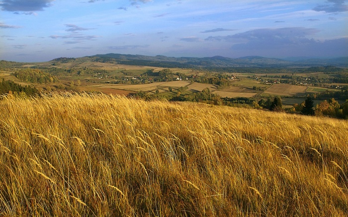 Golden grass field overlooking a valley with hills