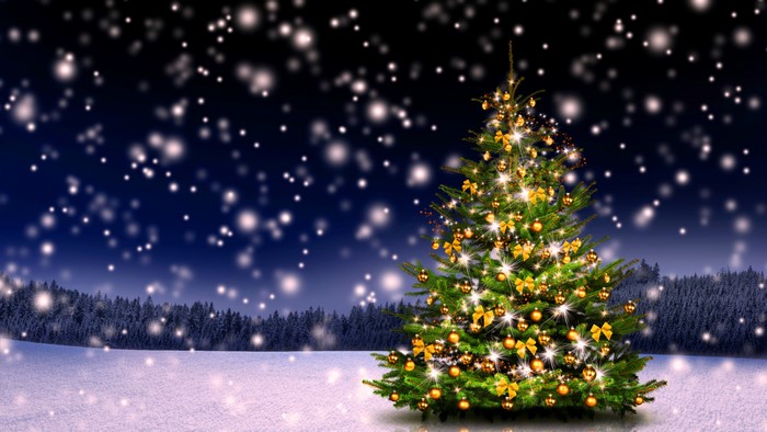 4K Christmas Tree in Snowy Forest