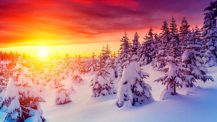 Snowy forest at sunrise with vibrant sky