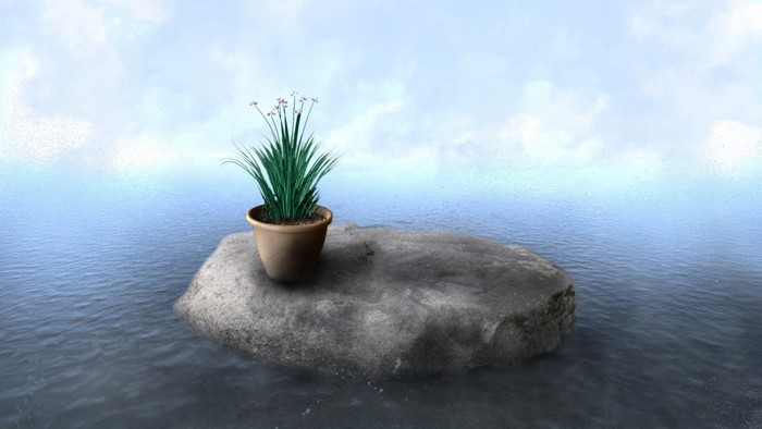 Potted plant on a rock in the ocean